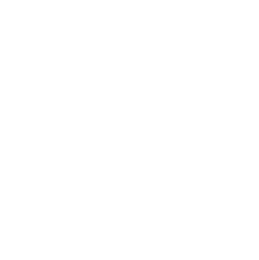 Atlanta Hawks